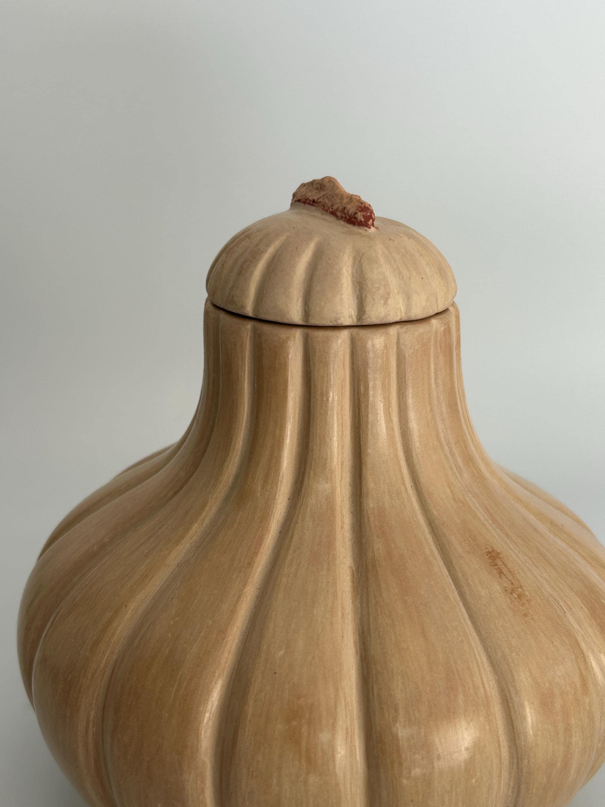Handmade Garlic Bulb Pottery Jar – Ribbed Ceramic Lidded Vessel, Signed Artisan Tanware