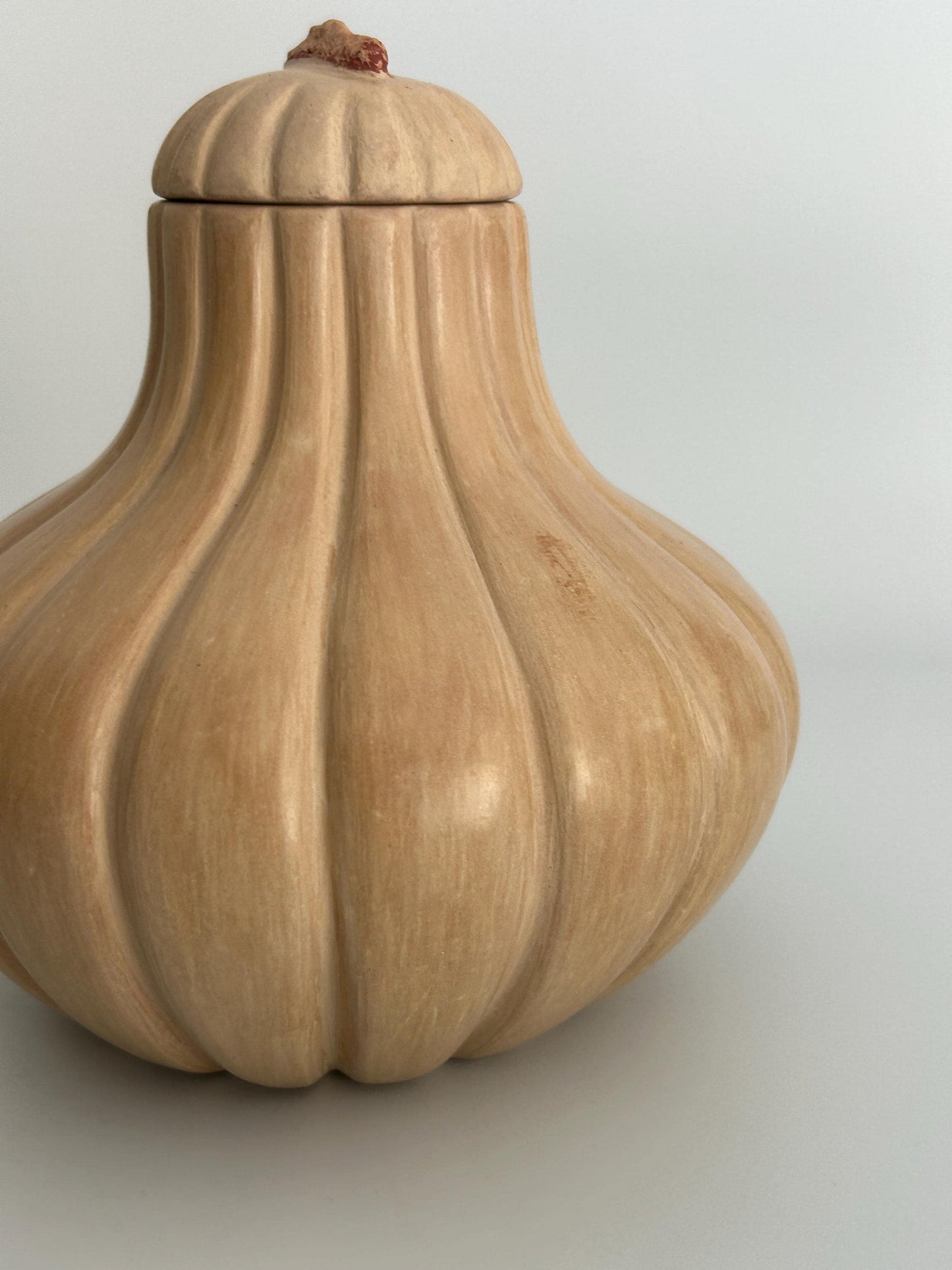 Handmade Garlic Bulb Pottery Jar – Ribbed Ceramic Lidded Vessel, Signed Artisan Tanware