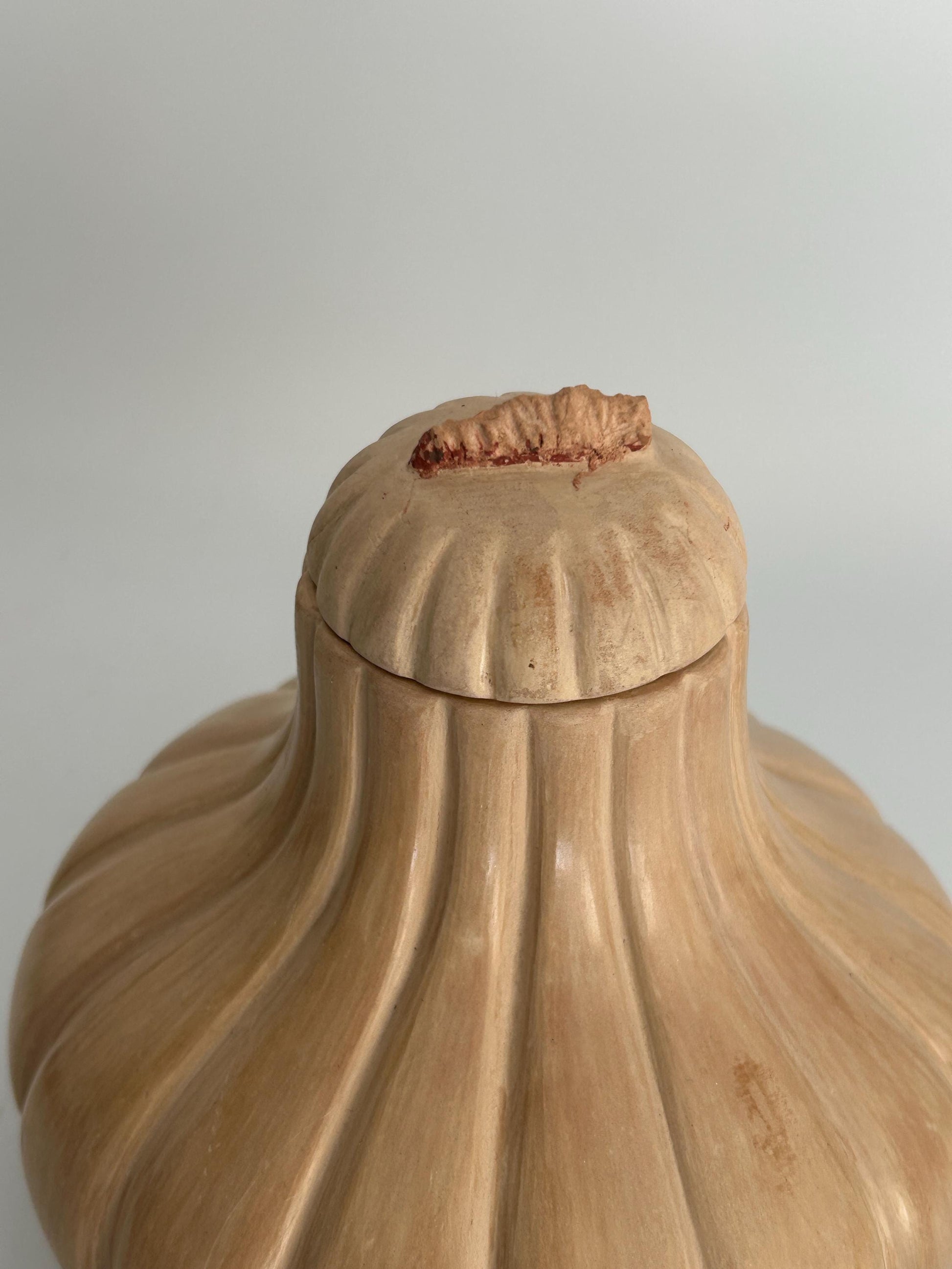 Handmade Garlic Bulb Pottery Jar – Ribbed Ceramic Lidded Vessel, Signed Artisan Tanware