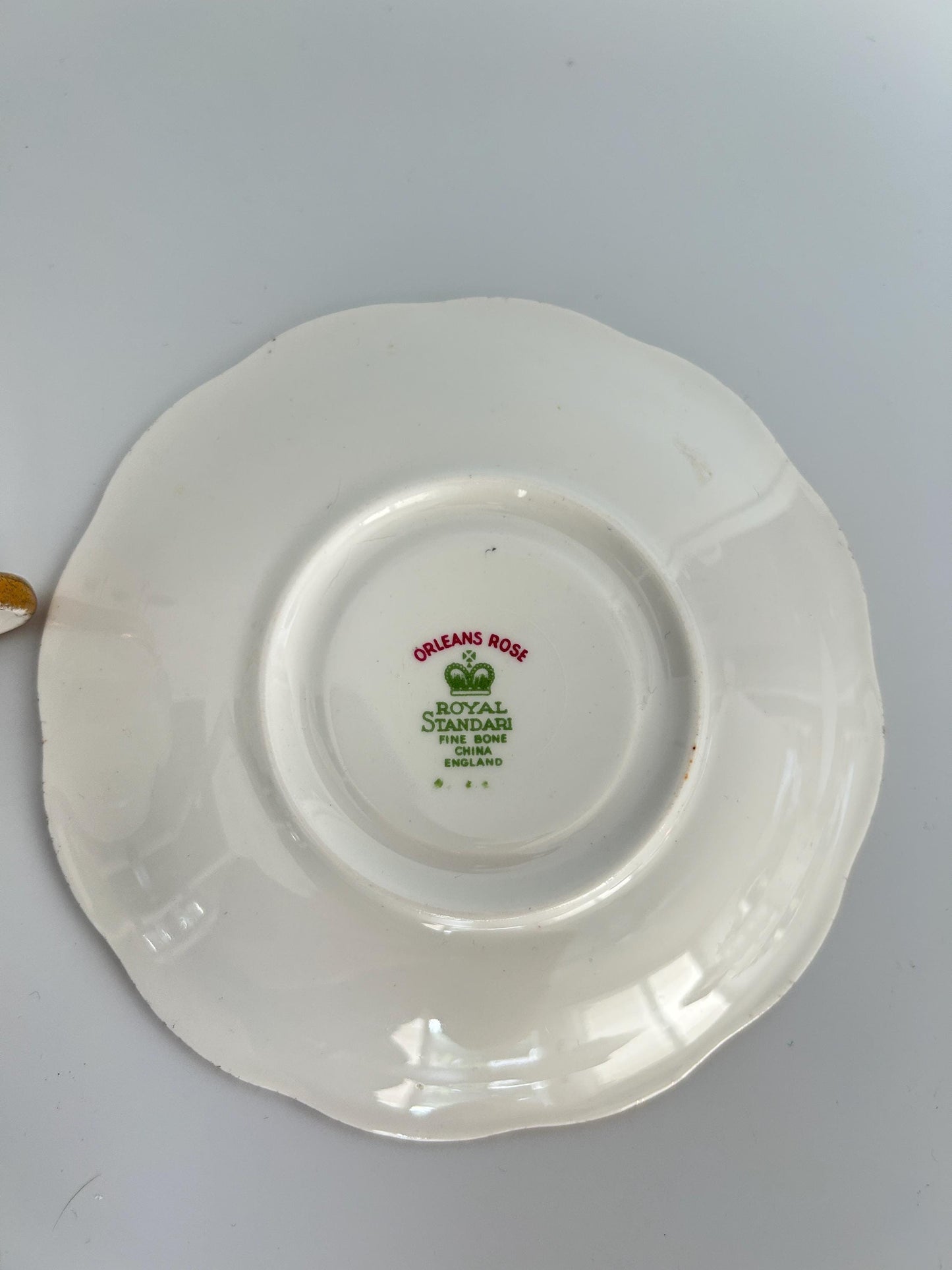 Royal Standard Orleans Rose Teacup Saucer Set – English Floral Fine Bone China