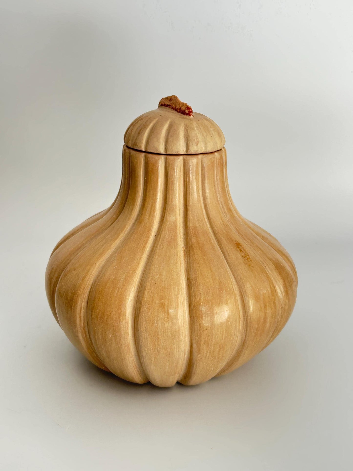 Handmade Garlic Bulb Pottery Jar – Ribbed Ceramic Lidded Vessel, Signed Artisan Tanware