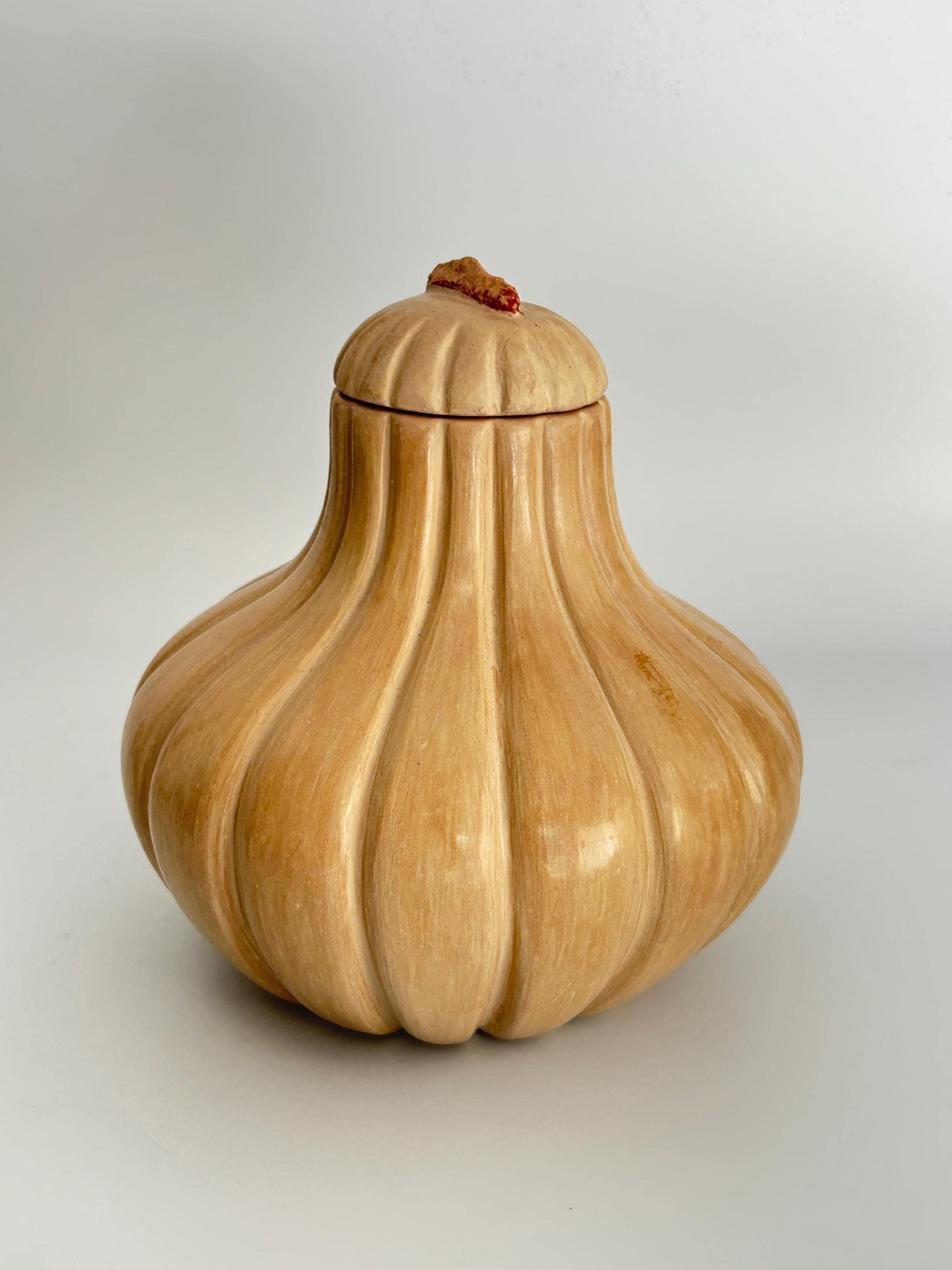 Handmade Garlic Bulb Pottery Jar – Ribbed Ceramic Lidded Vessel, Signed Artisan Tanware