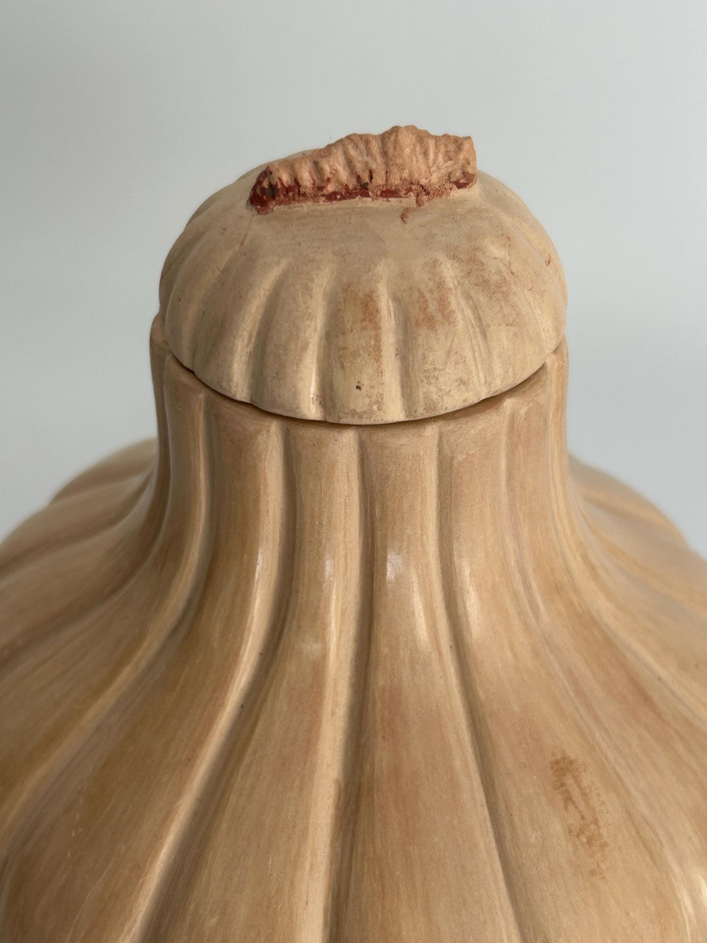 Handmade Garlic Bulb Pottery Jar – Ribbed Ceramic Lidded Vessel, Signed Artisan Tanware