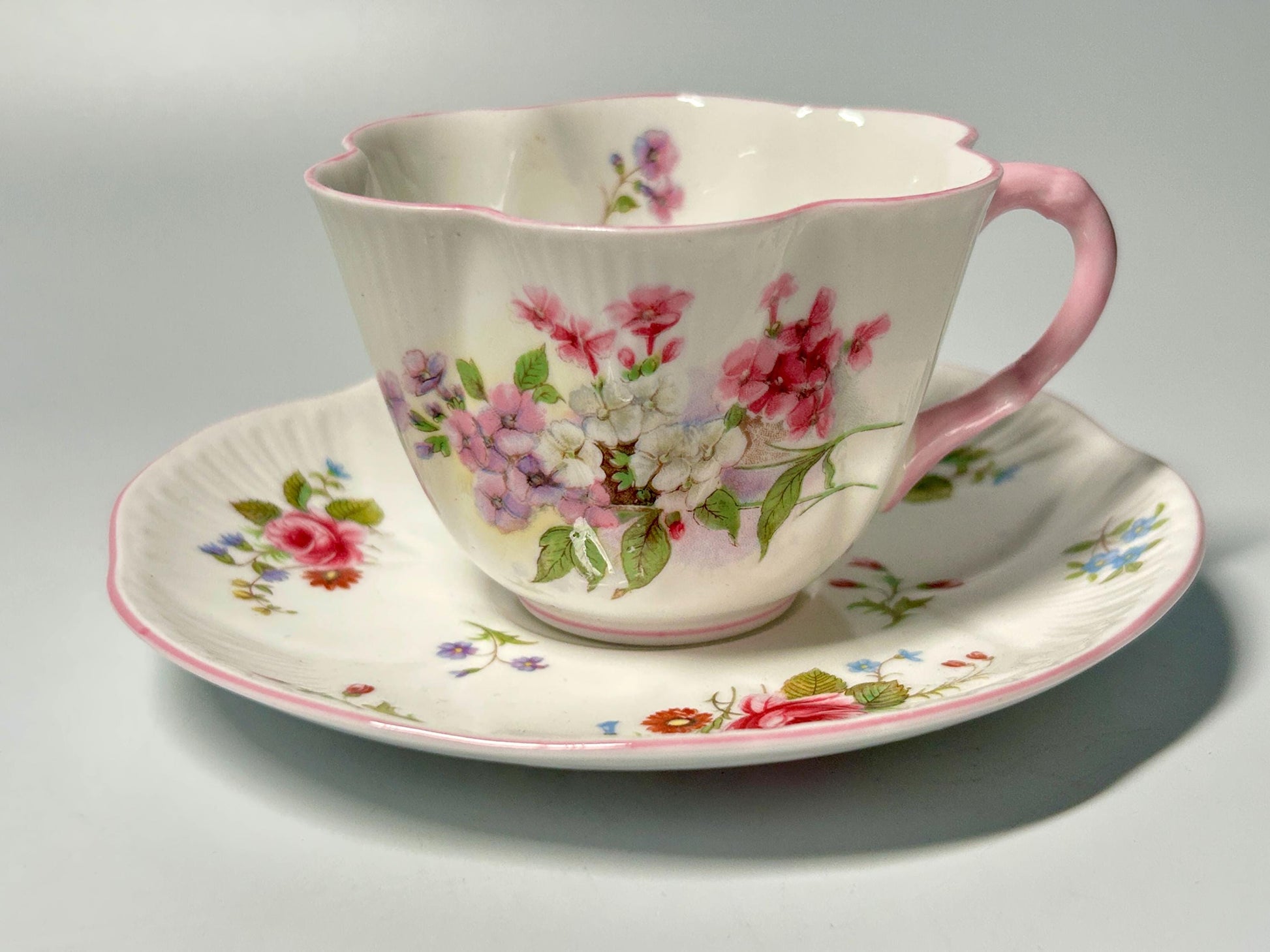 Shelley Rose & Red Daisy Fine Bone China Teacup and Saucer Set | England Pink Floral Tea Cup | Vintage English Cottagecore Tea Set