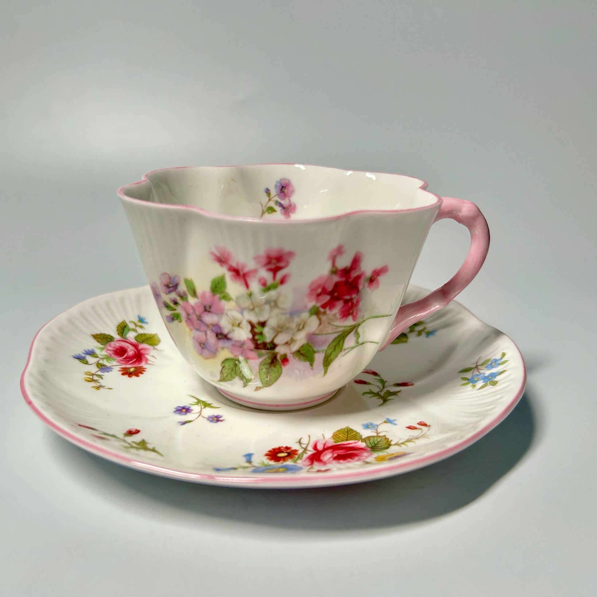 Shelley Rose & Red Daisy Fine Bone China Teacup and Saucer Set | England Pink Floral Tea Cup | Vintage English Cottagecore Tea Set